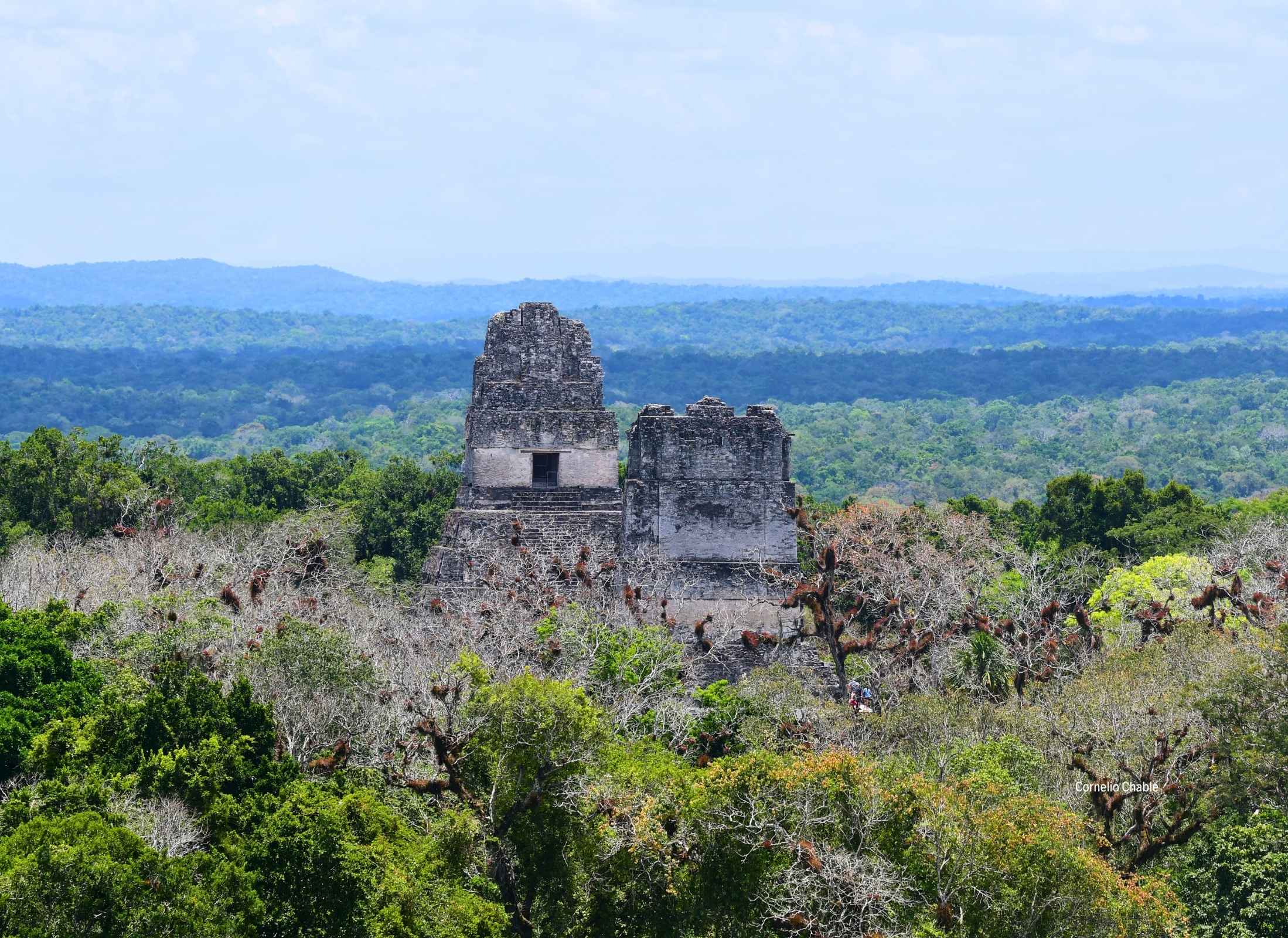 Templo gran jaguar