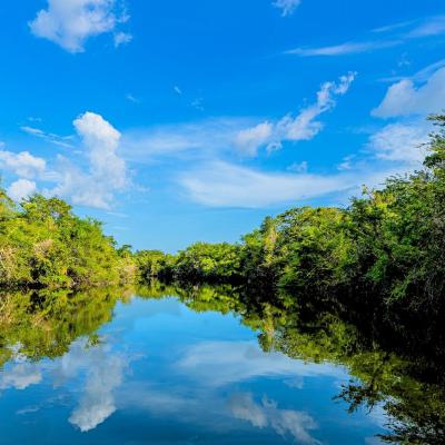 Rio San Pedro