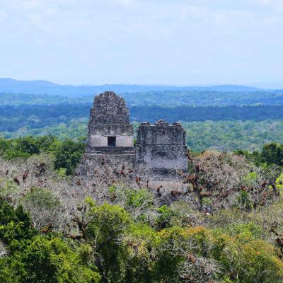 Templo Gran Jaguar