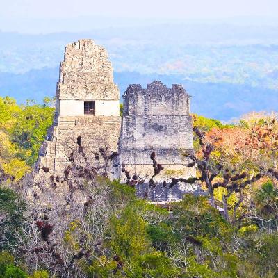 Tikal